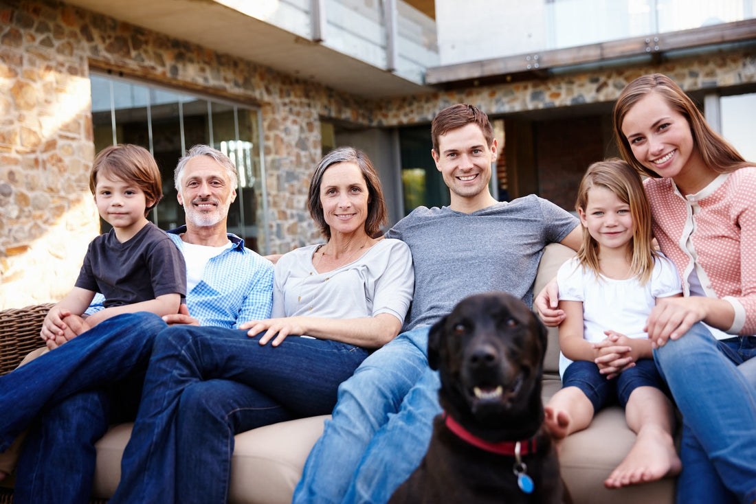 The Emotional Connection: How Heritage Rugs Enrich Family Life